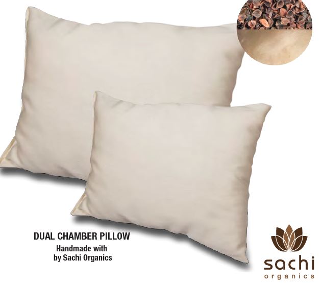 Dual Chamber Pillow