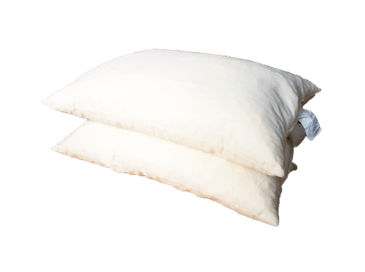 Evergreen Shredded Foam Sleep Pillows