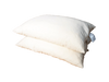 Evergreen Shredded Foam Sleep Pillows w/zip