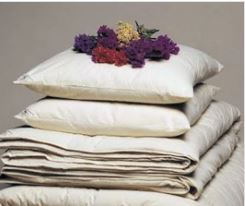 https://allorganichome.com/cdn/shop/products/Organic_Cotton_Wool_Pillow_large.JPG?v=1506092196