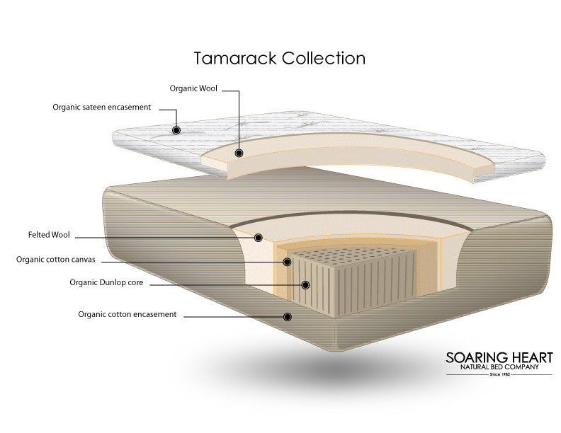 Total Sleep Collection: The Tamarack