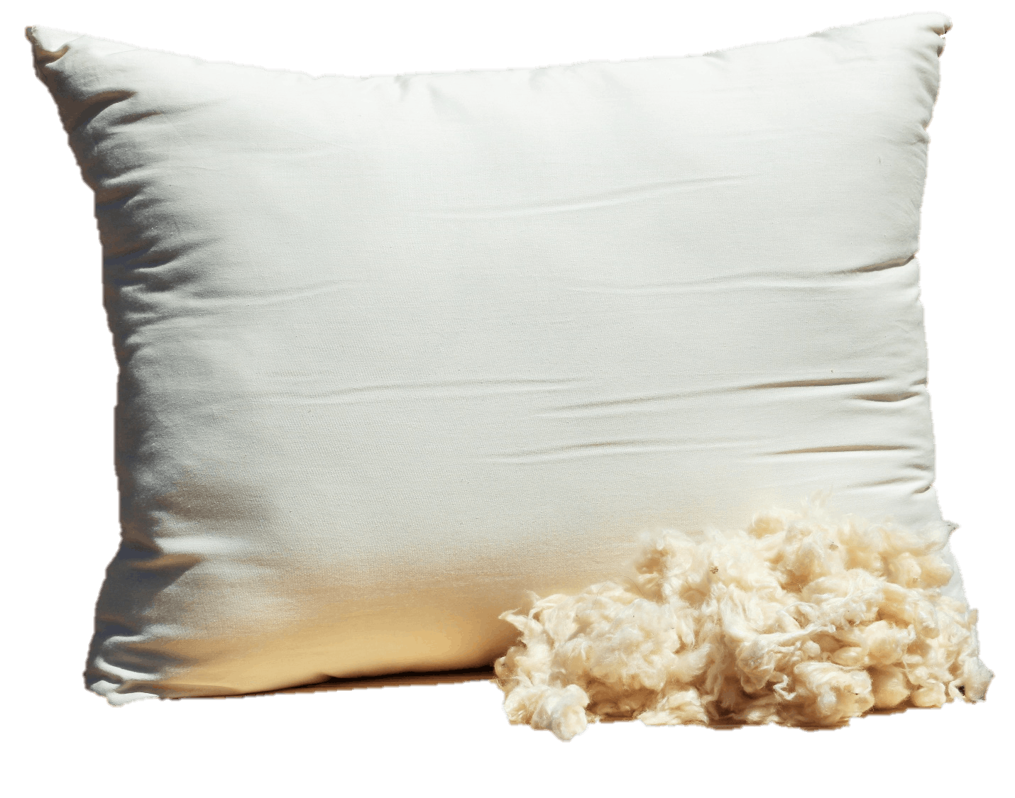 Pillow Forms - Organic Cotton/Kapok Fill