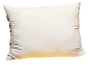 Organic Case Green Cotton Sleep Pillows w/zip