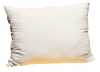 Organic Case Green Cotton Sleep Pillows