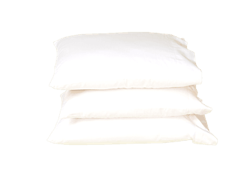 Organic Cotton Sleep Pillows w/zip